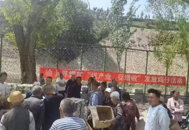 榆卜界煤矿为三川口镇群众免费发放鸡苗