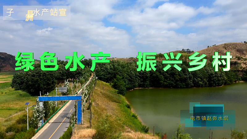 绿色水产    振兴乡村——子洲县乡村水产业发展宣传片