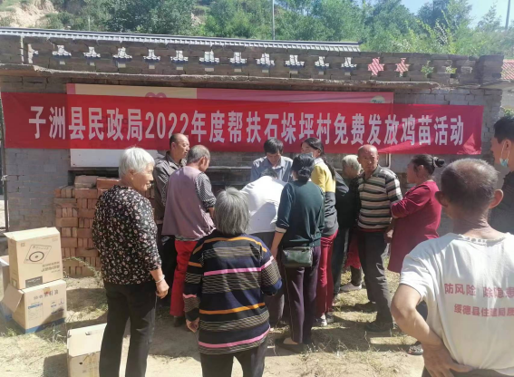 子洲县民政局开展“送鸡仔、助增收”活动