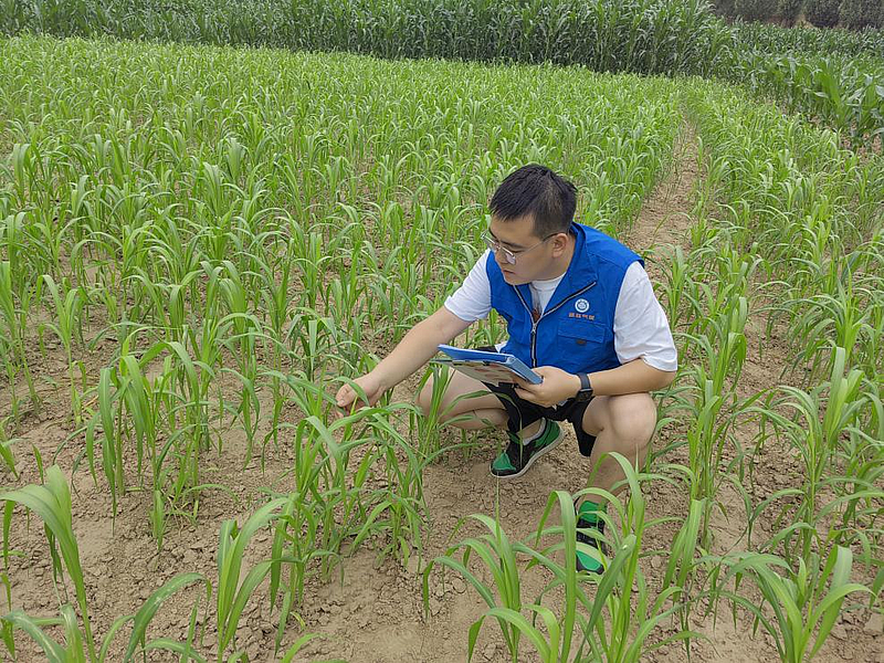 县气象局：气象服务进田间 农业生产有保障