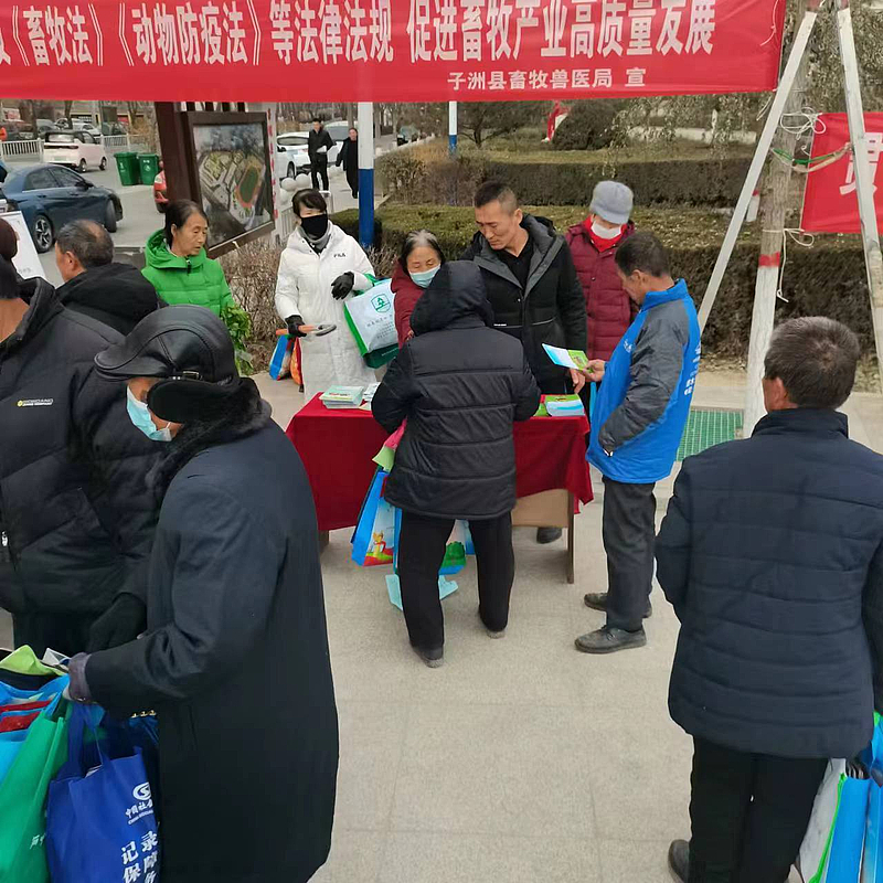 子洲县畜牧兽医局开展国家宪法日集中宣传活动