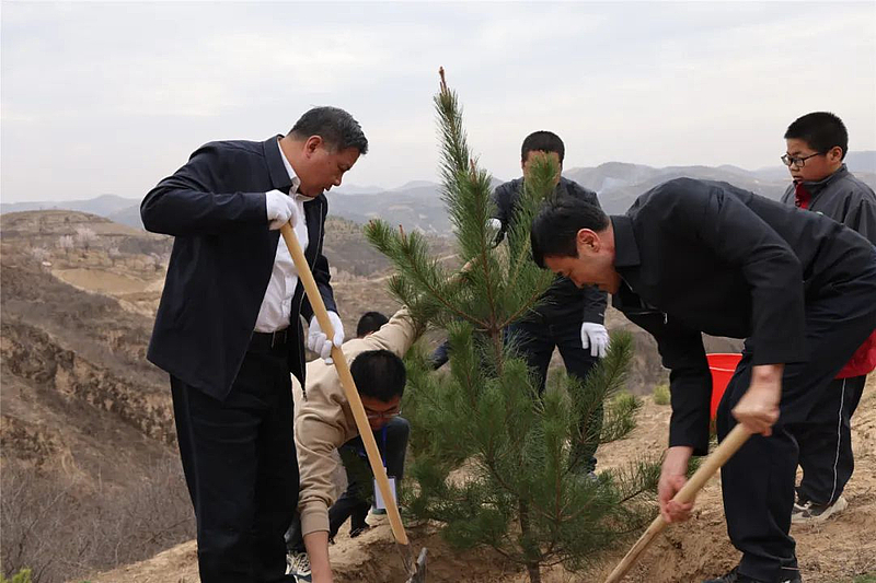 子洲县开展2024年全民义务植树活动